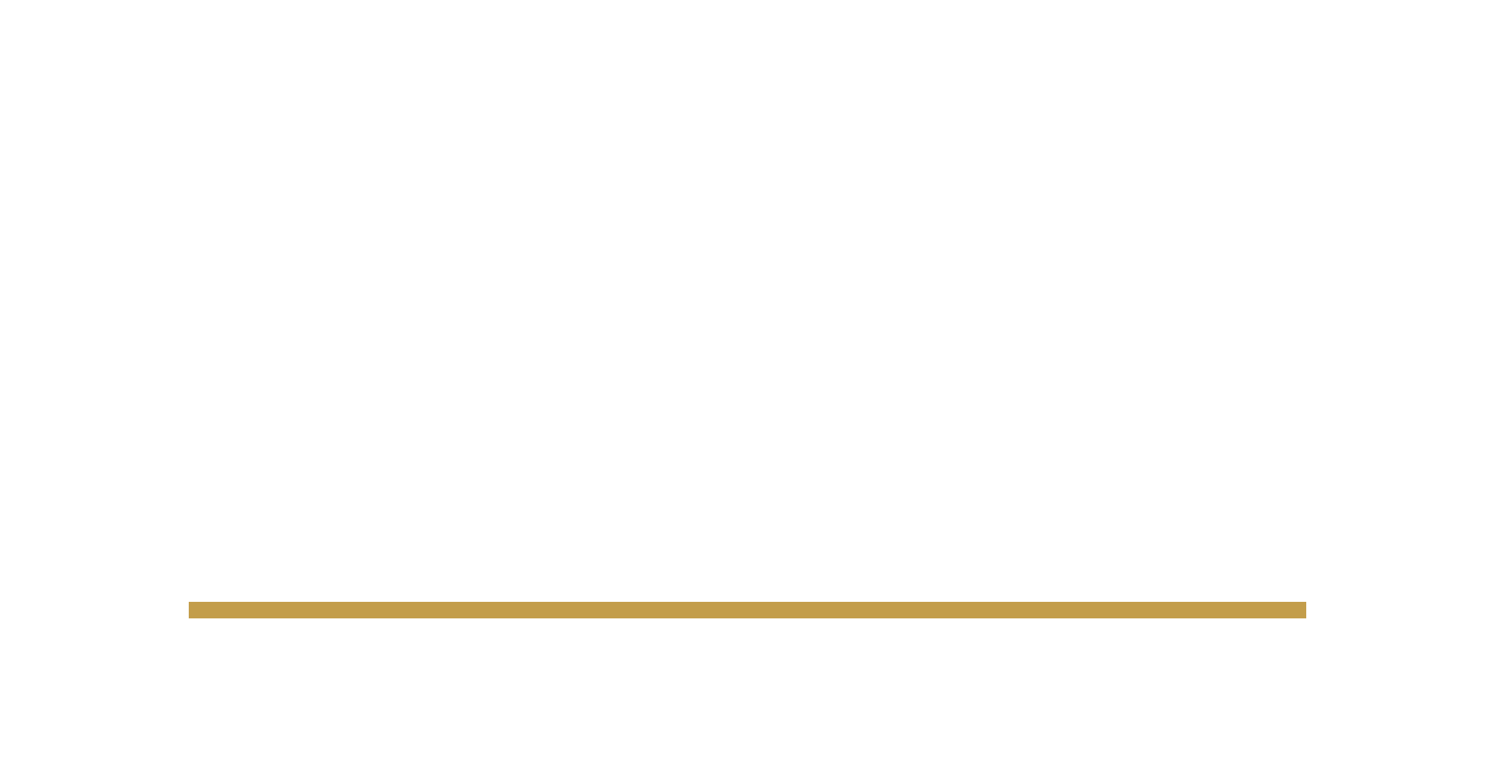 Ace-96-Logo